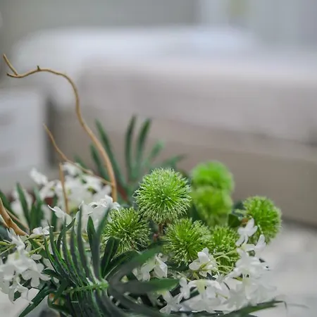 Municipio נאפולי